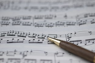 开云电竞-NBA球员职业规划建议与实施，nba球员怎么规划锻炼和训练